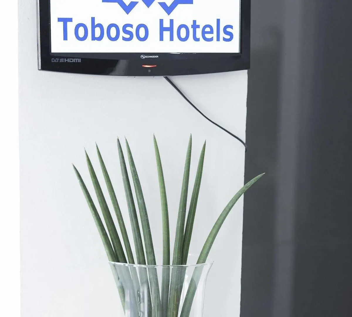 Hotel Toboso Chaparil Nerja